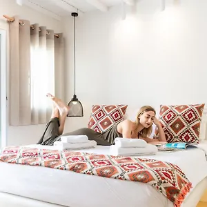أنستازياس فيزاج Mykonos Town